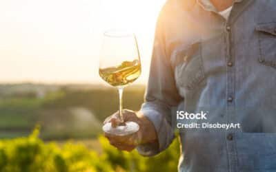 11.31.25 — Another Memorable Sermon Title. This One Might Even Make You Smile.